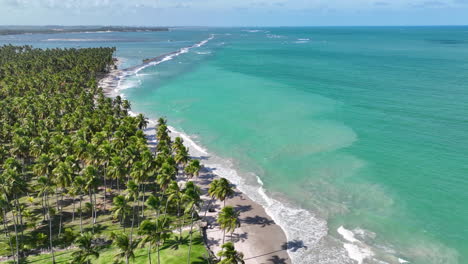 spiaggia di carneiros a tamandare pernambuco brasile