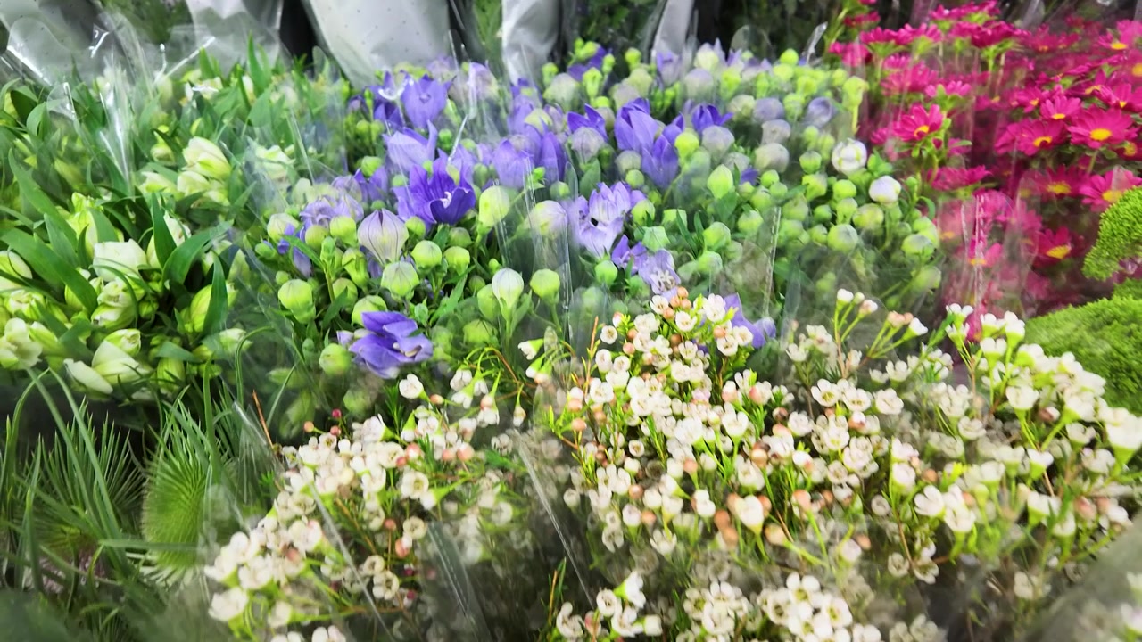 Camera pans across vibrant purple platycodon and white waxflowers in a busy floral market.