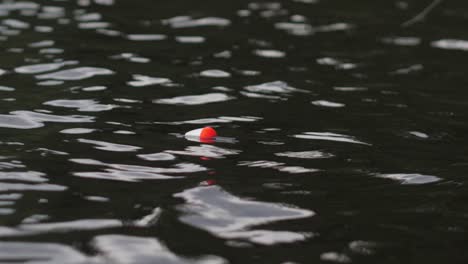 fishing rod float in a lake waters