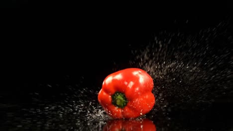 bell pepper falling on water against black background 4k