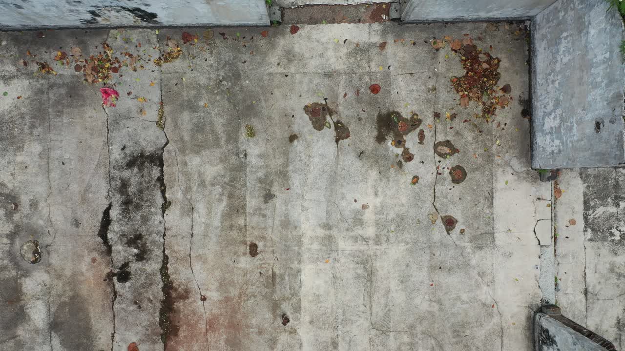Aerial View of Abandoned Building with Overgrowth