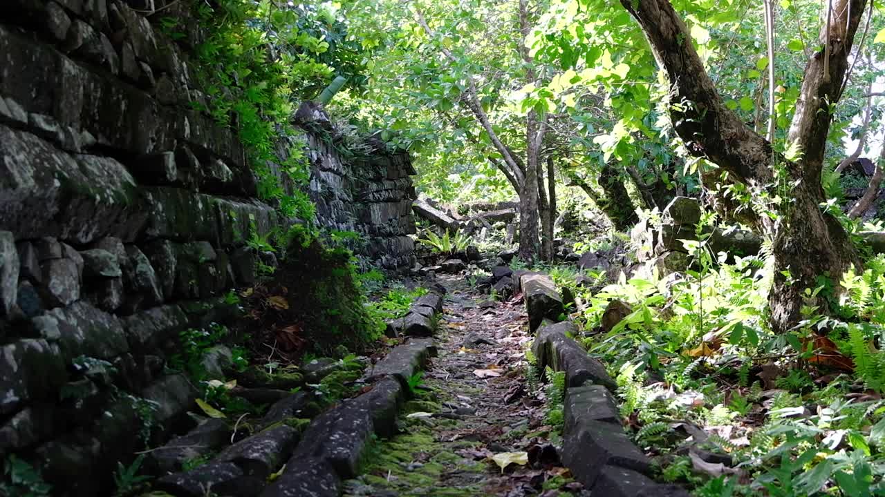 sentado fuera de la antigua ciudad de nan madol, sitio del patrimonio mundial de la unesco en pohnpei, micronesia