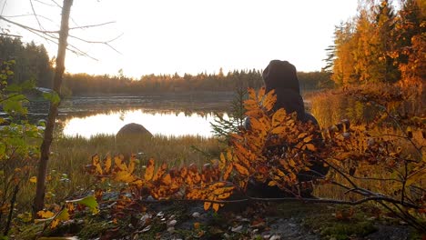 young hiking boy enjoying the view in national park in finland, colorful autumn leaves at hiking trail lake