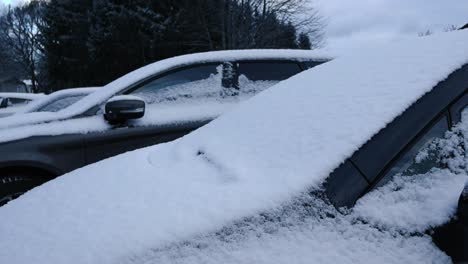 gorgeous smooth right to left panning footage of cars and vehicles covered in white fluffy snow during a cloudy winter day in a parking lot in front of a building while large dark trees are in back.