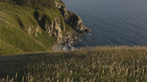 seaside coast line with big, steep cliffs, and beautiful inclined fields with high grass, on the sunset