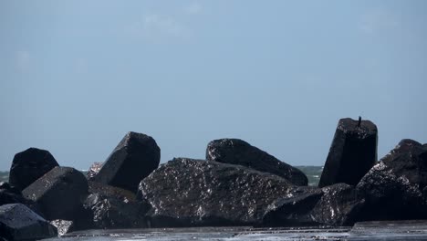 dyke protection with concrete groins, breakers, north sea, denmark, 4k