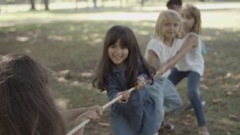 cute children playing tug-of-war, pulling rope together and having fun in the park