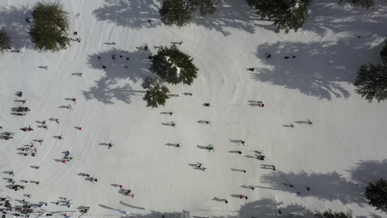 지중해의 눈 산과 소나무 숲의 스카이어