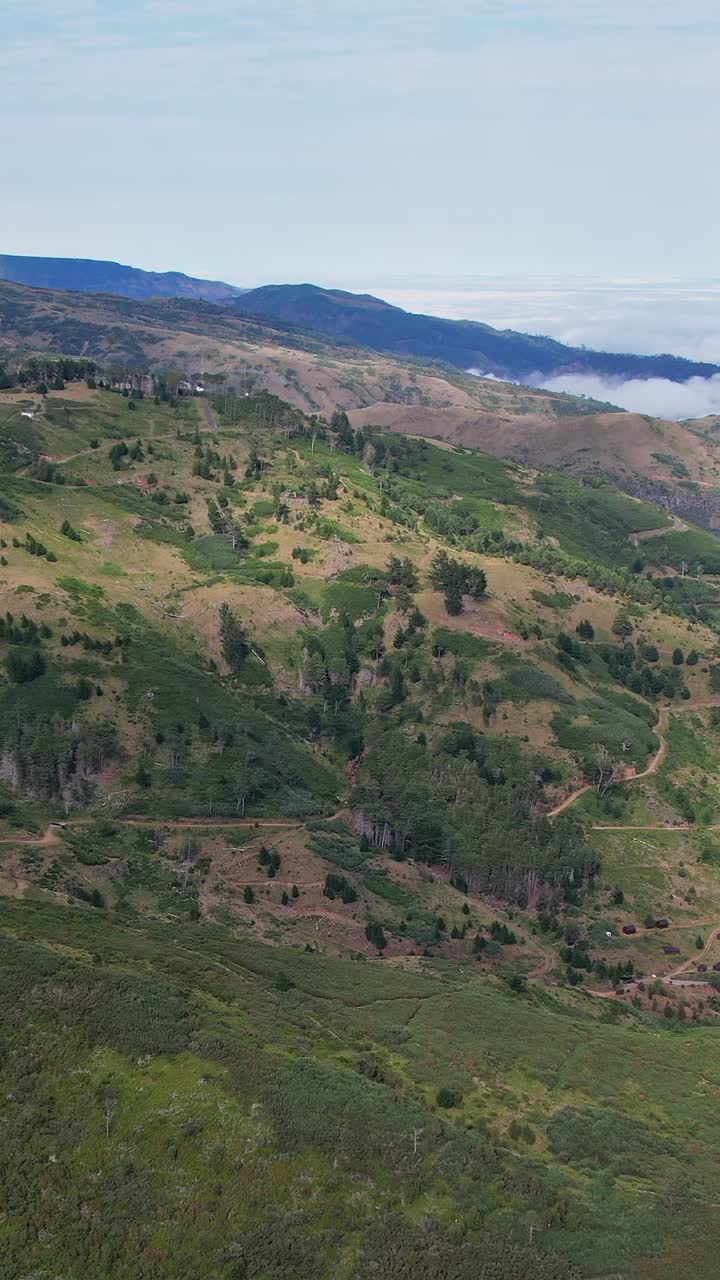 Vista aerea mozzafiato dei paesaggi lussureggianti e del territorio montuoso di Madeira