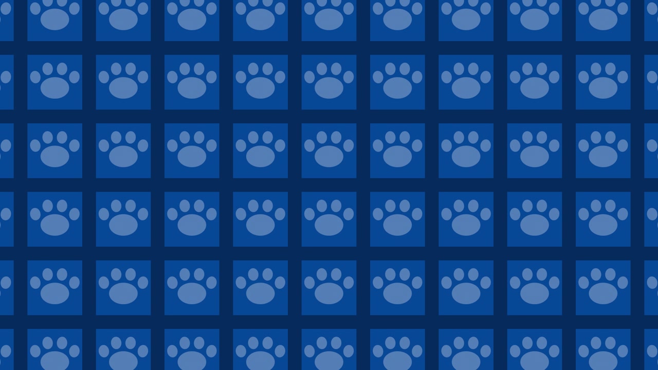 Blue Paw Print Pattern