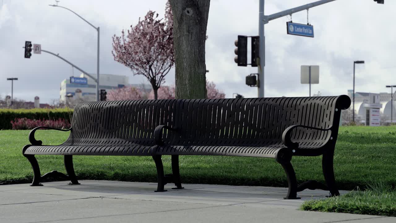 공원 벤치와 강아지와 함께 공원 산책