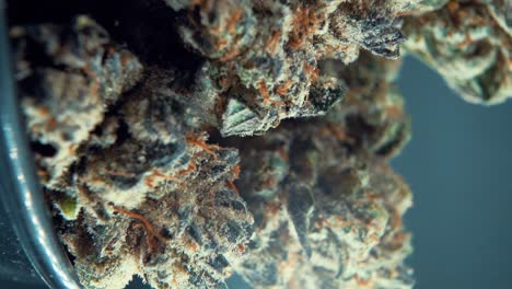 un macro vertical de primer plano detallado de una planta de cannabis, flor de marihuana, cepas híbridas, indica y sativa, en un soporte giratorio de 360 en un cuenco brillante, cámara lenta de 120 fps, alta definición completa, iluminación de estudio