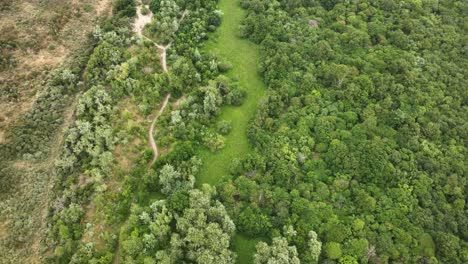 Majestuoso-Bosque-De-Hoja-Ancha-En-Holanda,-Vista-De-órbita-Aérea