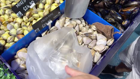 customer choosing clams at gold coast market