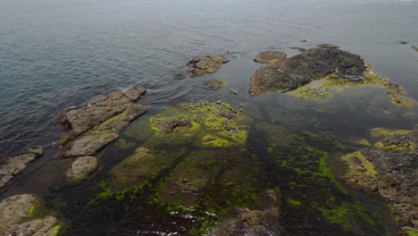 drone wide shot over seagulls on sea cliffs-5