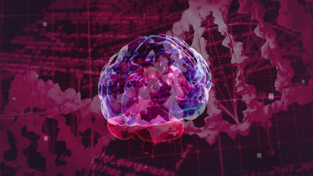 어두운 배경에서 인간의 뇌와 dna 줄에 대한 과학 데이터 처리의 애니메이션