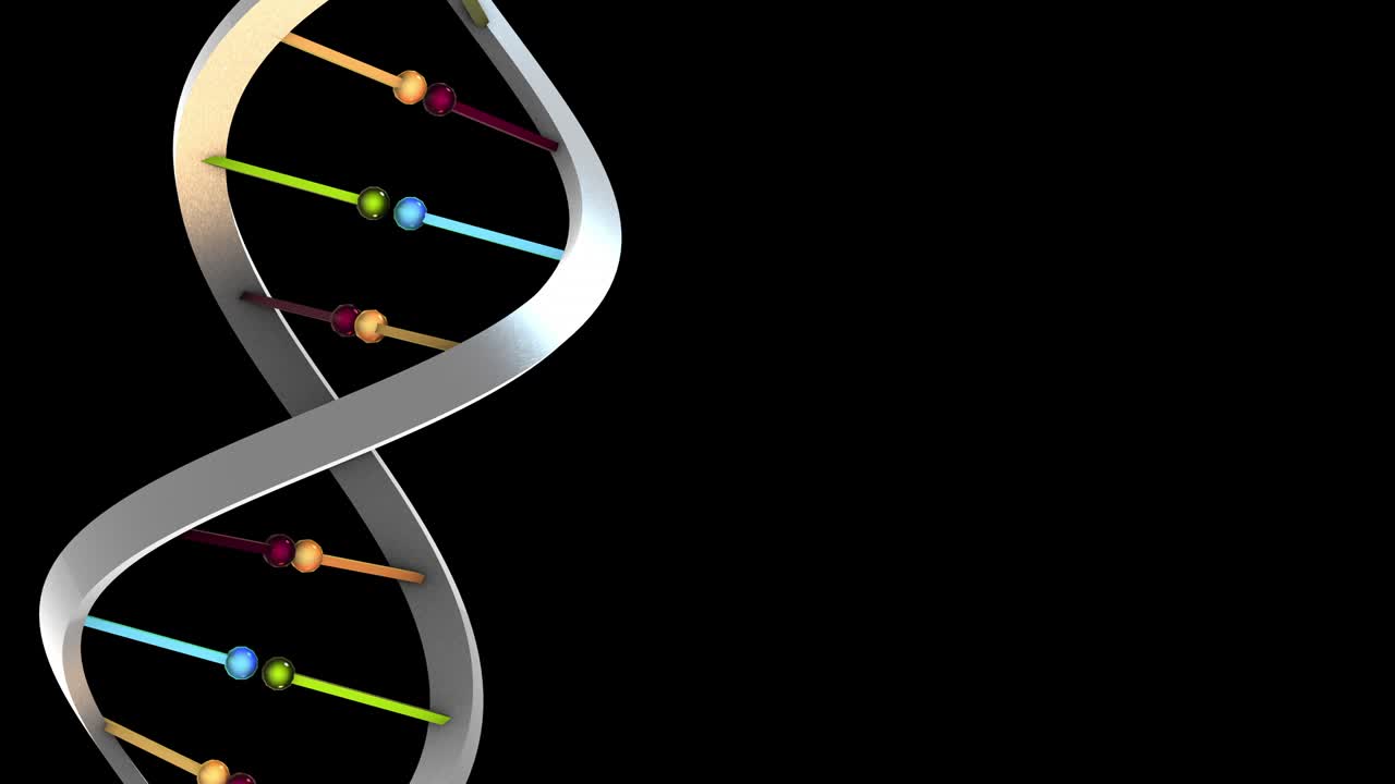 el color del metal del zoom dna-sx