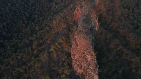 Rocky-Cliffs-And-Rainforest-At-Lamington-National-Park---Lamington-Plateau-Of-McPherson-Range---Queensland,-Australia