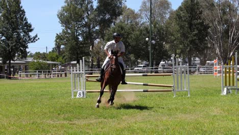 horse and rider navigating a show jumping course.