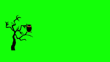 tree-and-owl-motion-graphics-video-transparent-background-with-alpha-channel