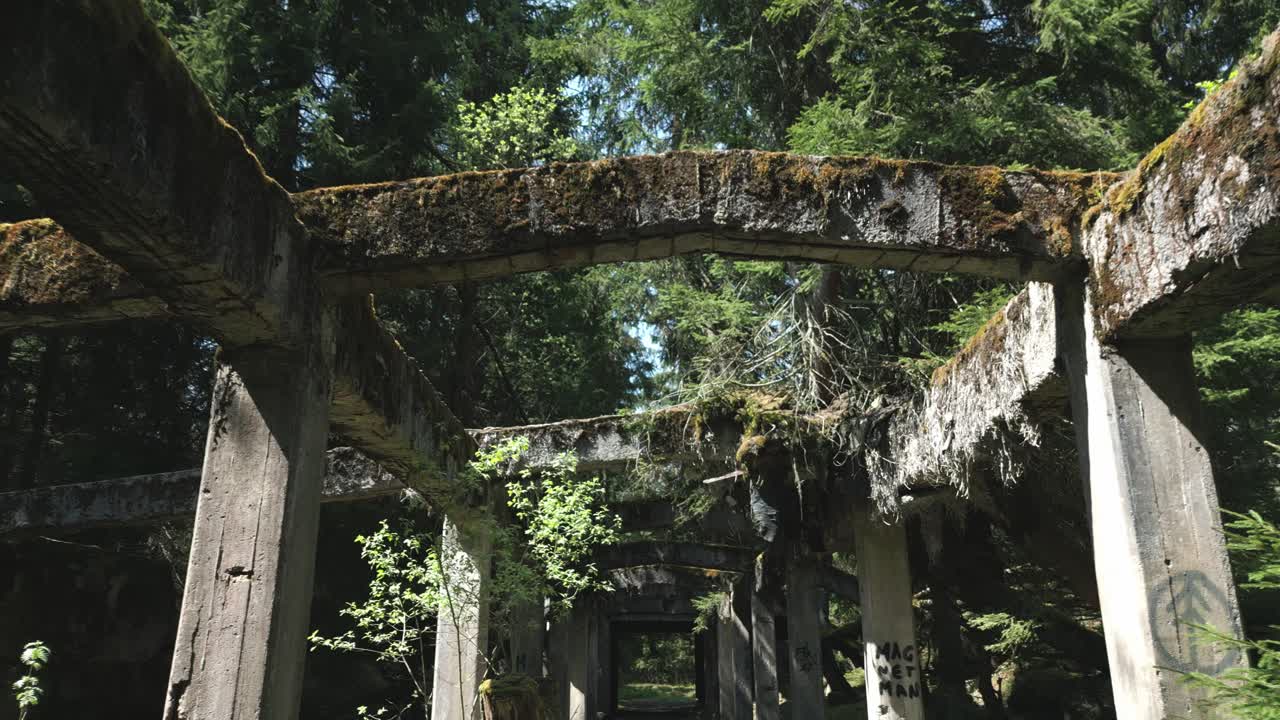 Abandoned concrete building structure covered with moss and overgrown trees