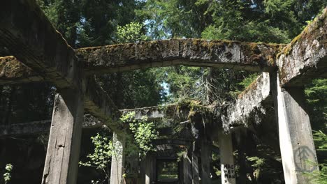 abandoned concrete building structure covered with moss and overgrown trees