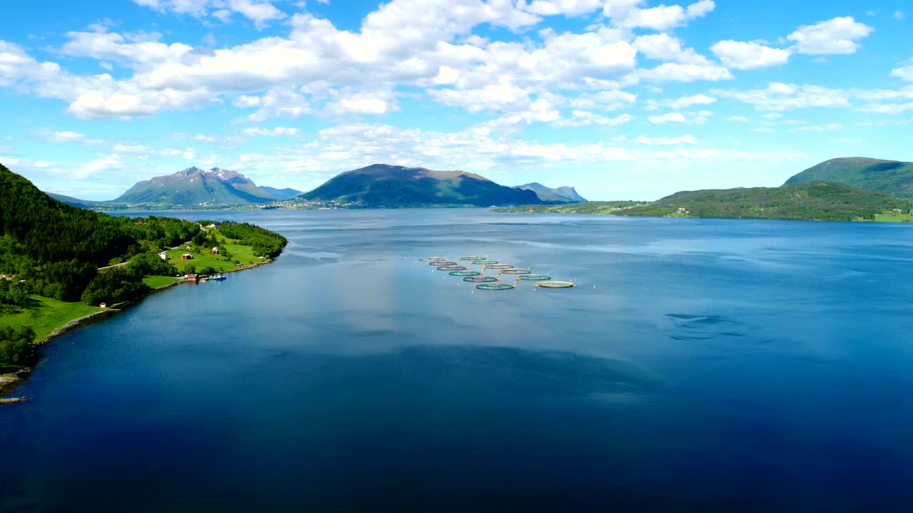노르웨이에서 연어  ⁇ 시를 하는 공중 촬영