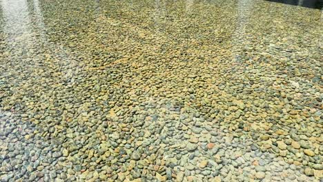 a serene pebble pond in phuket, thailand, with gentle wind-induced ripples creating a calming effect under natural light