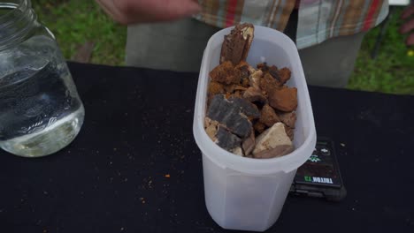 dried mushrooms being weighed for tincture making