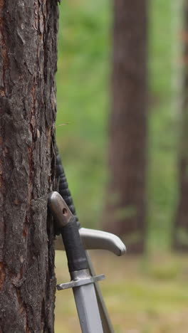 Group of people in old styled clothes takes swords leaned on pine trunk in forest closeup slow motion. Soldiers prepare weapon for battle. Medieval camp