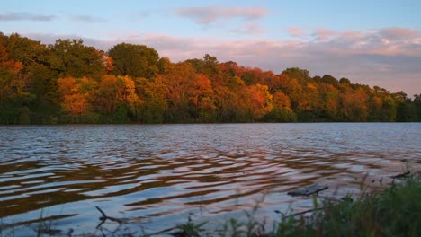 grass and debris by a flowing river's edge during a sunset in the fall