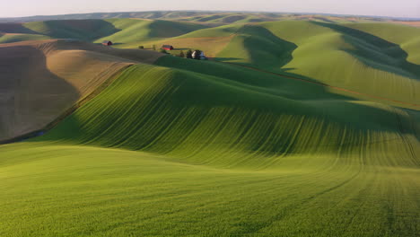 rolling green hills of farmland with red barns and house