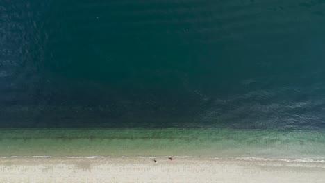 Seascape-With-Turquoise-Water-And-Fine-White-Sand-At-Owen-Beach,-Tacoma,-Washington---aerial-top-down