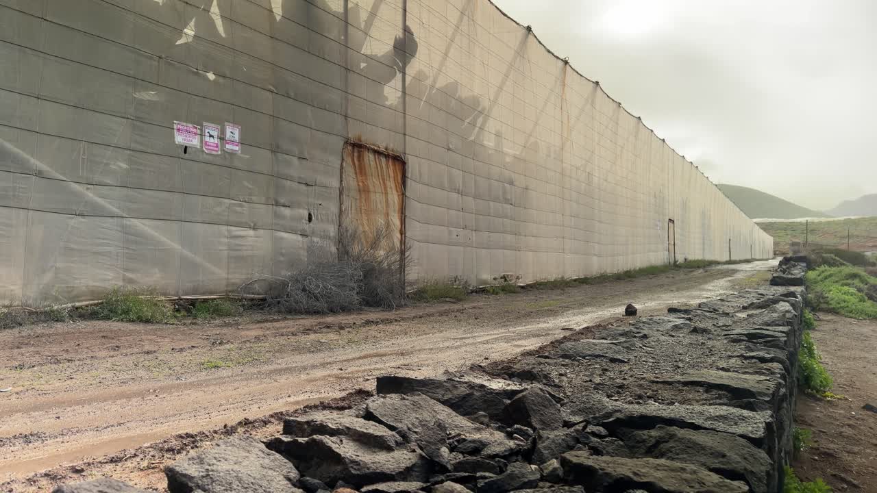Muro di piantagione di banane a Tenerife, sentiero rustico, atmosfera nuvolosa.