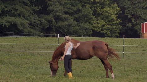 A-woman-at-a-horse-ranch-pets-a-beautiful-young-colt-grazing-in-a-field