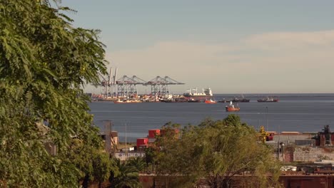 Commercial-harbor-with-big-cranes-and-containers,-cars-passing-by-in-the-route