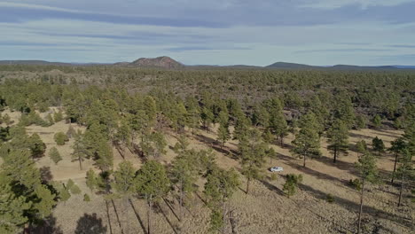antena en órbita mientras el coche viaja por caminos de tierra fuera de la carretera a través del bosque, 4k