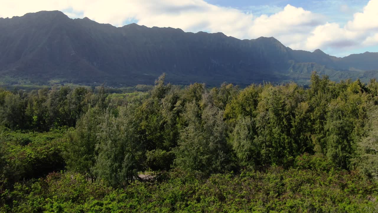 drone volando sobre los árboles del bosque hawaiano hacia la cordillera del este de oahu