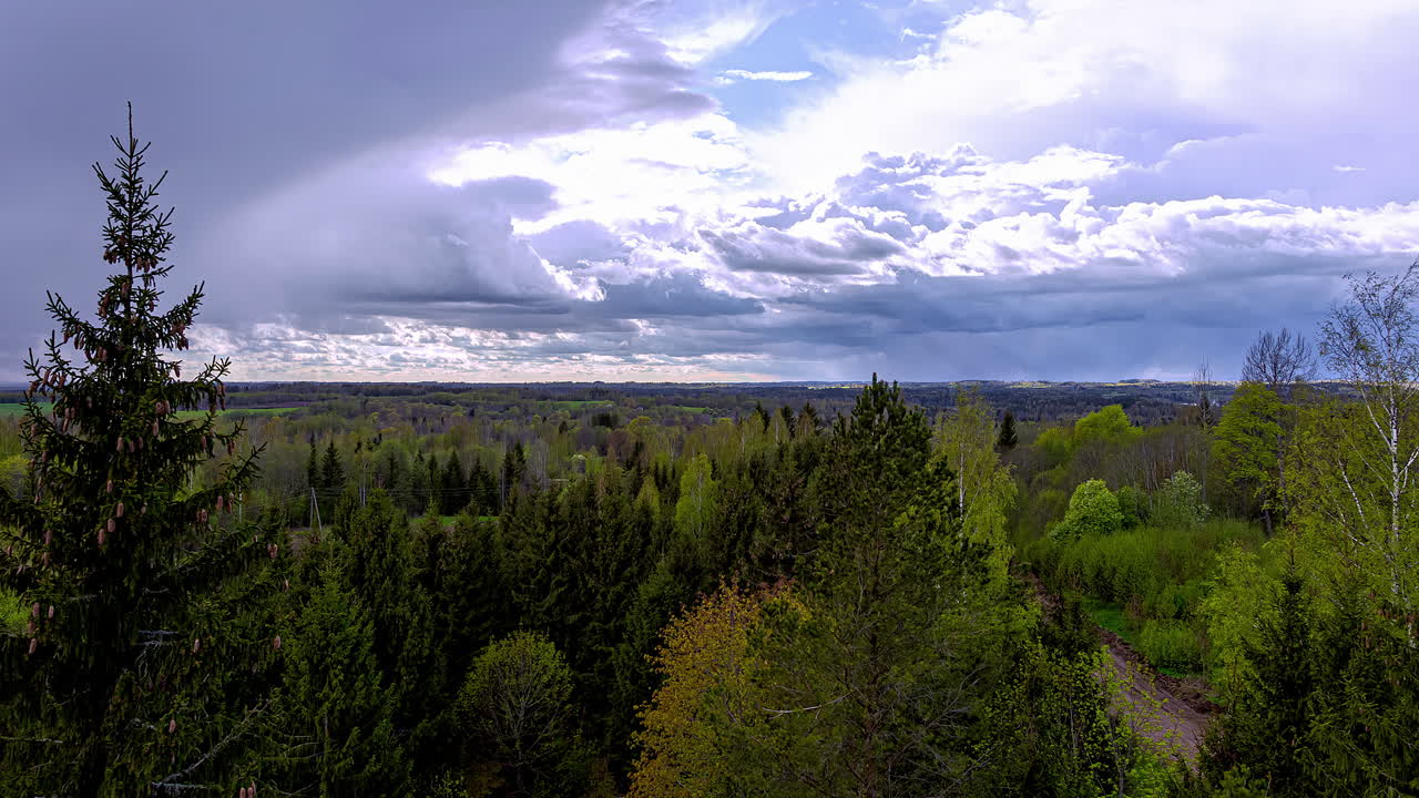 Time lapse shot over dense forest woodland and flying clouds at dark sky in nature