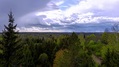 Tiro-De-Lapso-De-Tiempo-Sobre-Bosques-Densos-Y-Nubes-Voladoras-En-El-Cielo-Oscuro-En-La-Naturaleza