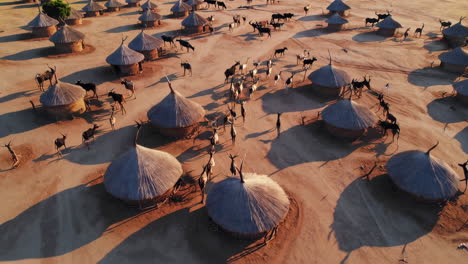 african village and wildlife