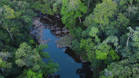 aerial view of small river in rainforest of guyana, south america, drone shot