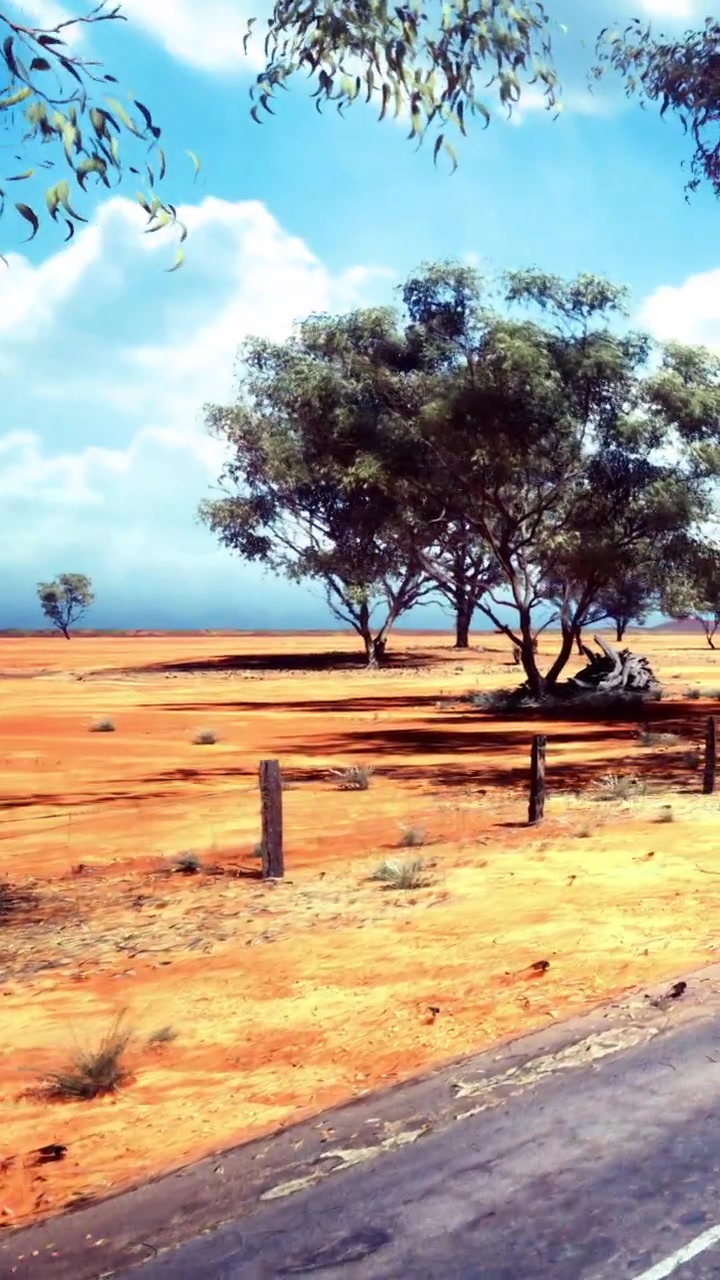 Vista luminosa di una terra arida con alberi vicino a una recinzione sotto il cielo