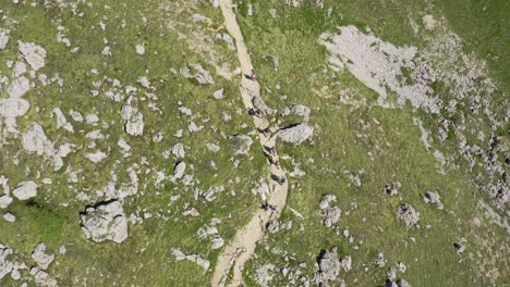 Toma-Aérea-De-Arriba-Hacia-Abajo-De-Un-Grupo-De-Excursionistas-Caminando-Por-Un-Camino-Rocoso-Entre-Montañas-Verdes-En-Verano---Tiro-Inclinado-Hacia-Arriba-Con-Cabaña-Y-Cielo-Azul