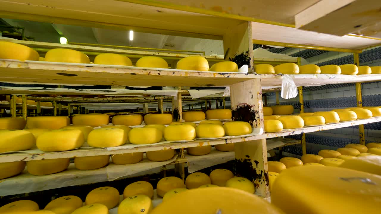 A deep view between full storage shelves with round cheese.