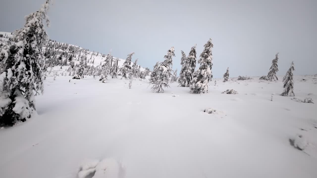 Snow-covered mountains and evergreen trees create a tranquil winter scene. A peaceful, isolated wilderness landscape unfolds in this serene clip