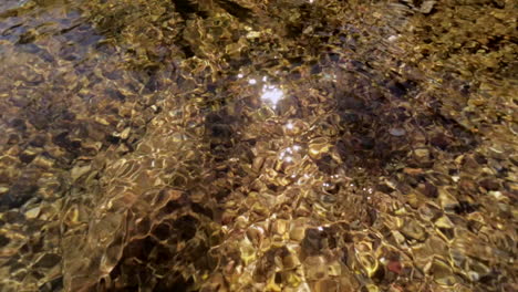 sunlight sparkles and dances on the water in a fresh water stream in missouri