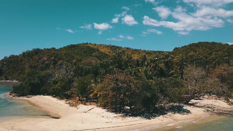 Vorwärtsflug-über-Einen-Strand-Mit-Einigen-Vögeln,-Die-Vor-Der-Kamera-Fliegen