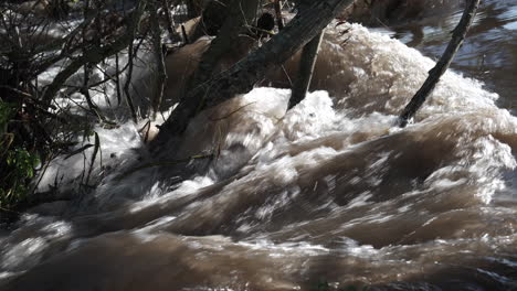 The-fast-flowing-water-of-the-river-Arrow-running-through-Warwickshire,-England-after-heavy-rainfall-raised-the-river-level