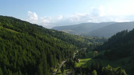 vista of green conifer forest mountains at palanca in bacau county, western moldavia, romania